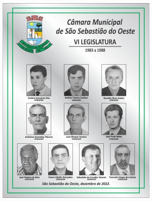 VI Legislatura