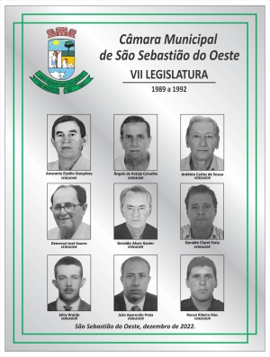 VII Legislatura
