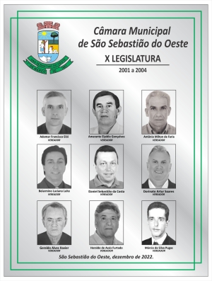 X Legislatura